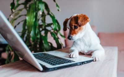 5 bonnes raisons de penser à la refonte de votre site internet