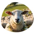 Collaborateur Collaboratif